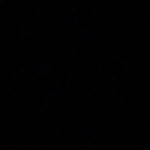 Meet your Posher, Bella